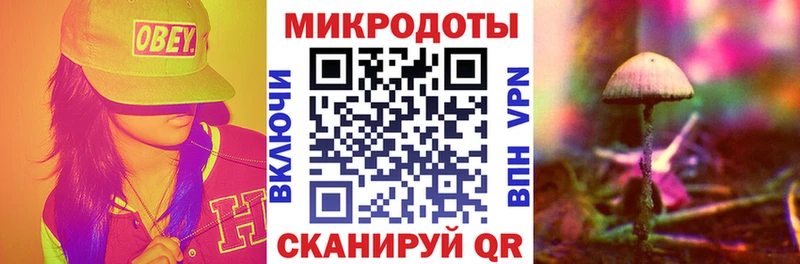 где продают наркотики  Отрадный  mega как войти  Псилоцибиновые грибы мицелий 